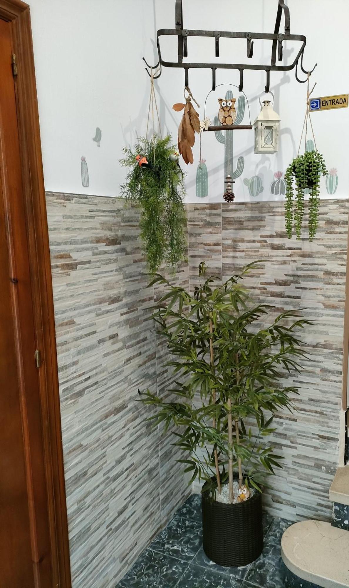 Casa Mayago, Terraza Y Solarium ペゴ エクステリア 写真